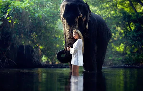 Девушка, слон, в воде, Serene