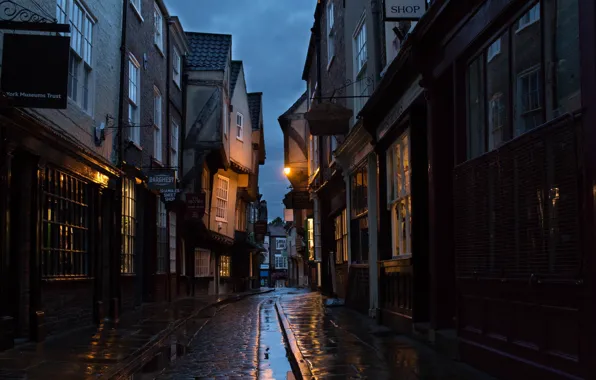 Картинка city, lights, windows, wet, night, evening, street, houses