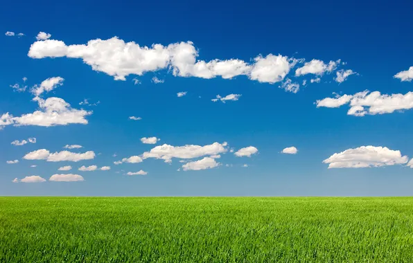 Картинка небо, облака, поля, сельская местность, солнечный, фермы
