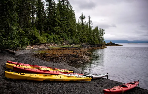 Деревья, побережье, лодки, Аляска, США, Alaska, Ketchikan, Tatoosh Island