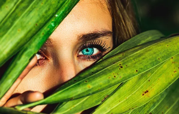 Green, girl, eyes, leafs, look