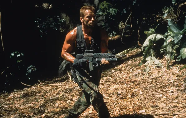 Картинка мужик, джунгли, солдат, актер, Хищник, Predator, Арнольд Шварценеггер, Arnold Schwarzenegger