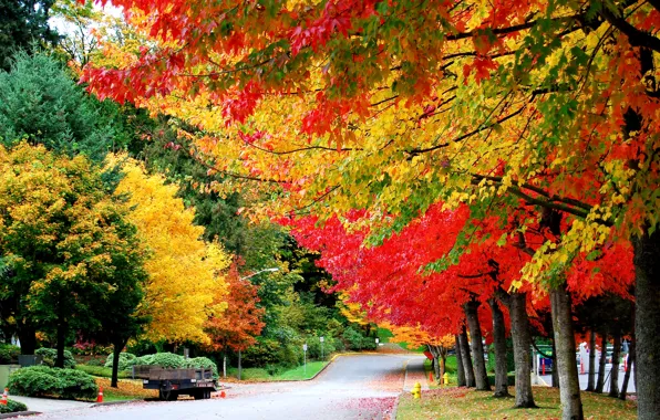 Картинка дорога, осень, деревья, листва, автоприцеп