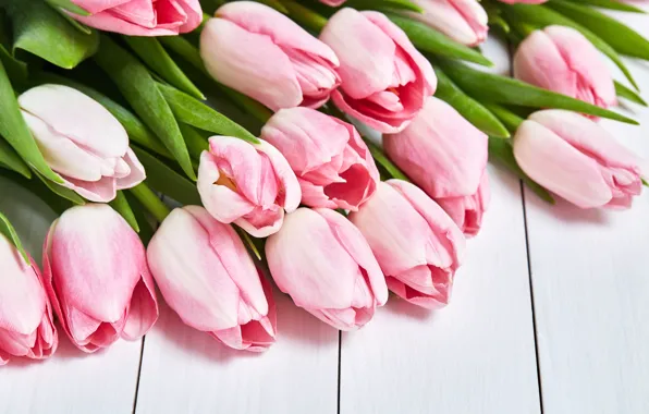 Картинка тюльпаны, розовые, pink, flowers, tulips