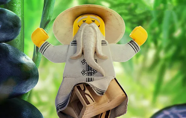 Lego, animated film, sensei, animated movie, The Lego Ninjago, Sensei Wu