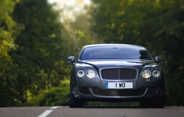 Картинка Авто, Bentley, Continental, Лес, решетка, Машина, Лого, Серый
