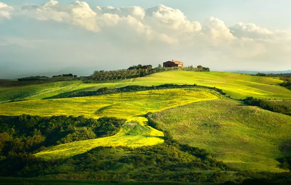 Картинка дом, Италия, виноградник, Тоскана
