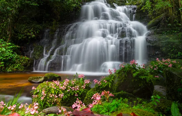 Картинка лес, пейзаж, цветы, река, скалы, водопад, summer, Тайланд
