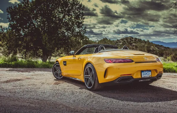 Car, Roadster, Mercedes, logo, yellow, vegetation, Mercedes Amg, Mercedes Amg Gt Roadster