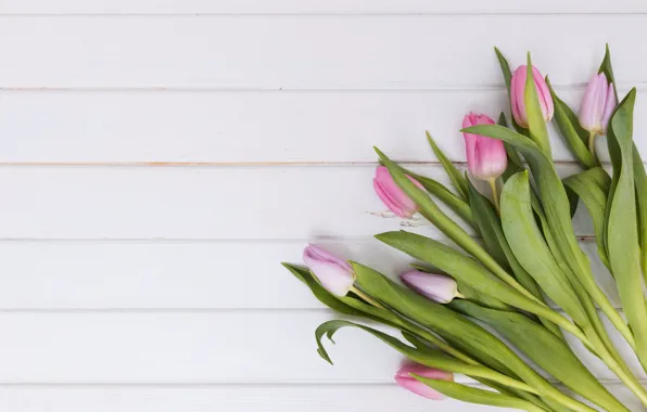 Цветы, букет, тюльпаны, розовые, fresh, wood, pink, flowers