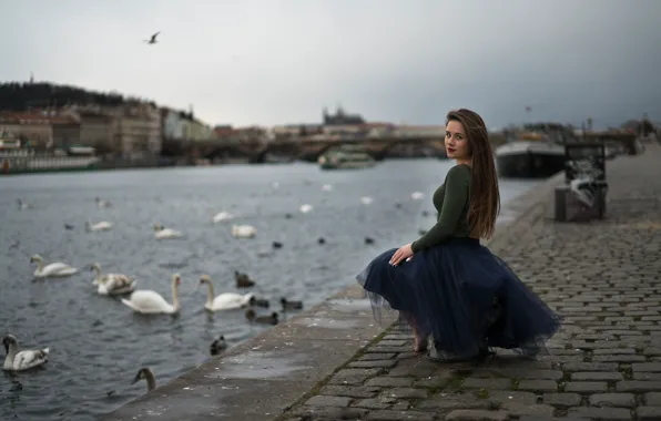 Девушка, лебеди, набережная, Swan