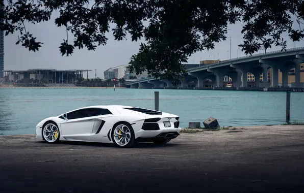 Lamborghini, White, Aventador, Vellano MC Customs