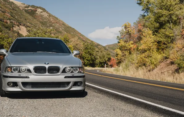Autumn, E39, Road, M5, Front view