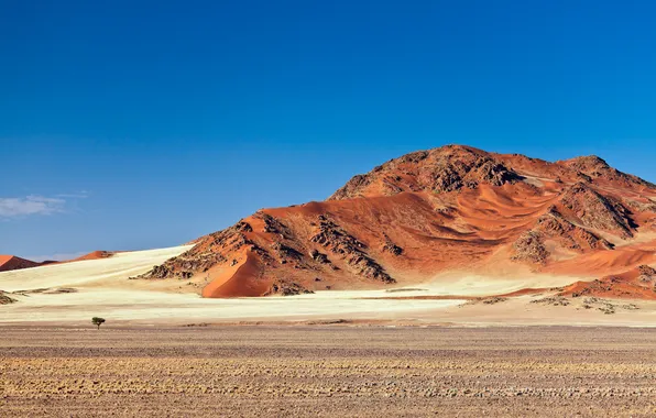 Картинка песок, горы, дерево, пустыня, namibia, намибия