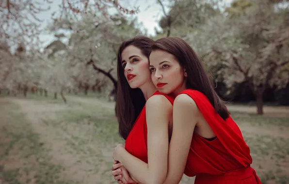 Картинка девушка, деревья, модель, сад, платье, объятия