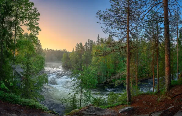 Картинка лес, река, Финляндия