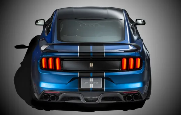 Картинка Mustang, Ford, Shelby, Muscle, Car, Rear, 2015, GT350R