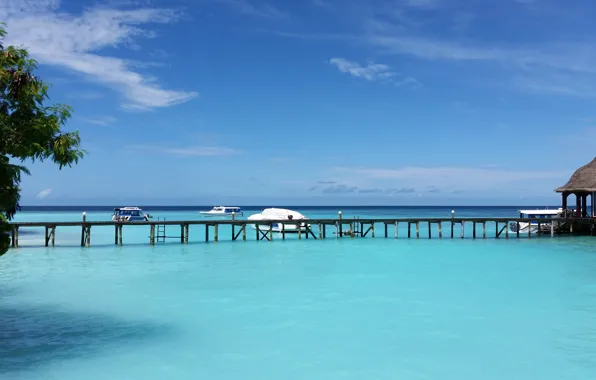Тропики, океан, остров, Maldives
