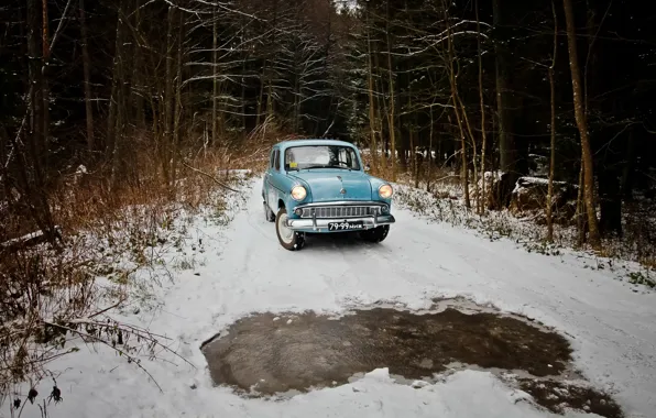 Лес, ретро, ссср, trees, Moskvich, Moskvich 407