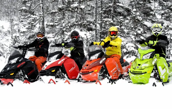 Картинка деревья, Снег, Снегоход, Snowmobile, Ski Do