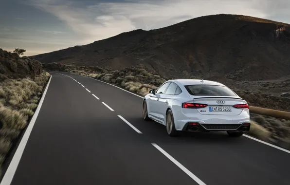 Дорога, Audi, вид сзади, RS5, Sportback, RS 5, 2020