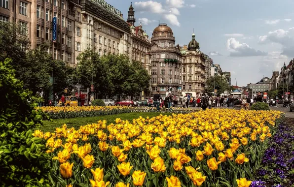 Картинка улица, здания, весна, Город, Прага, Чехия, тюльпаны, архитектура