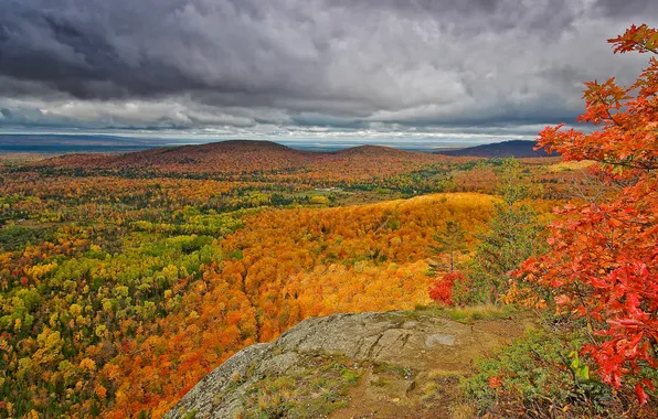 Картинка осень, лес, небо, облака, деревья, горы, скалы