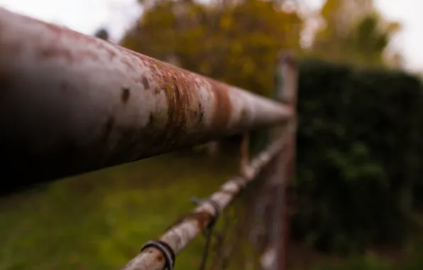Metal, Autumn, Garden, Fence, Rusty