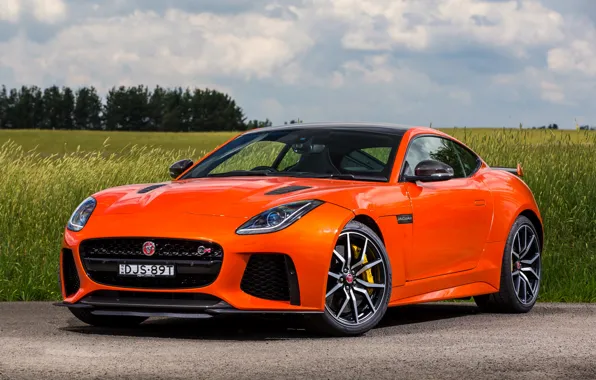 Дорога, поле, Jaguar, Ягуар, автомобиль, F-Type, SVR