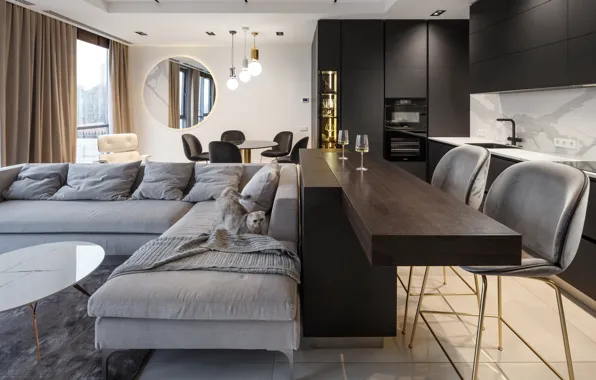Интерьер, кухня, гостиная, столовая, small living room, Shine Apartment, by Svoya Studio