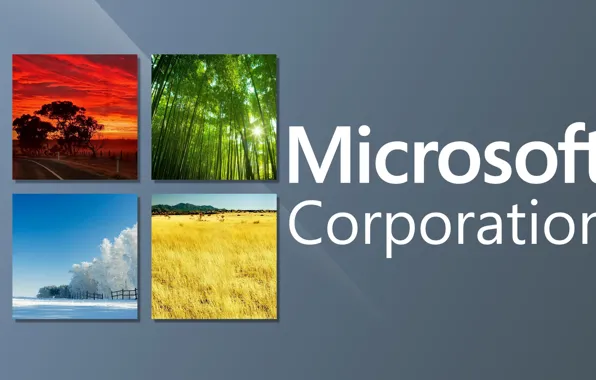 Окна, логотип, Microsoft, Corporation