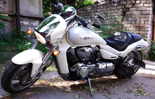 Фон, мотоцикл, suzuki