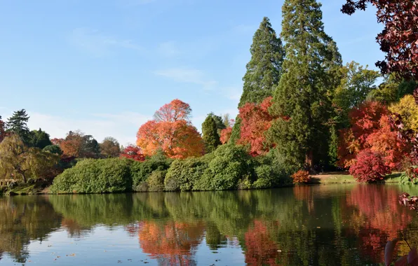 Картинка осень, озеро, Англия, colors, autumn, lake, England, Sheffield park