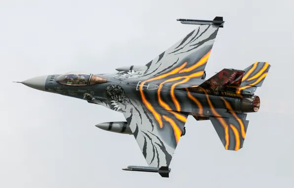 Картинка тигр, тюнинг, боевой самолёт, General Dynamics F-16AM Fighting Falcon