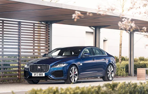 Синий, растительность, Jaguar, седан, Jaguar XF, 2020, XF