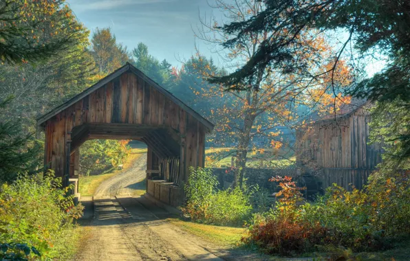 Картинка дорога, осень, лес, деревья, мост, Природа