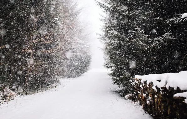 Картинка зима, лес, снег, дрова