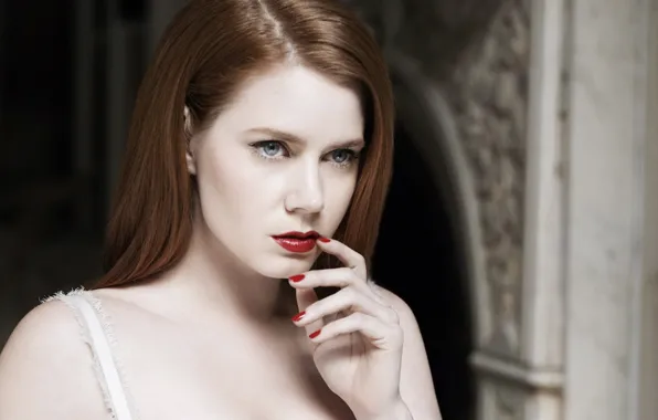 Girl, Female, Beauty, Actress, Cute, Singer, Amy Adams, American actress