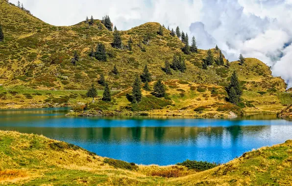Трава, деревья, горы, озеро