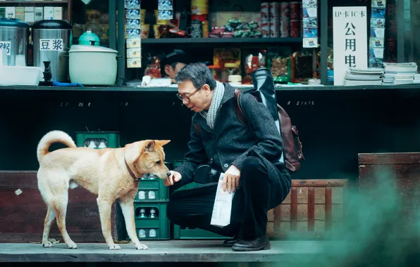 Пёс, Хатико, кадр из фильма