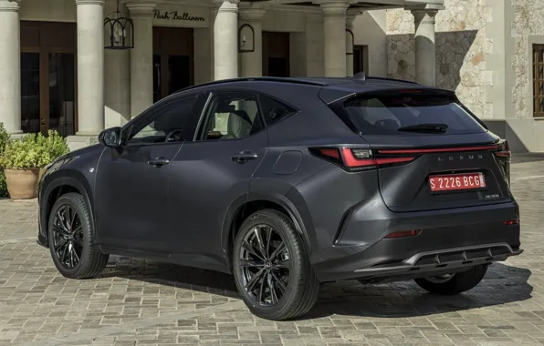 Здание, power, гостиница, columns, exterior, paving stones, Lexus NX 350 F Sport