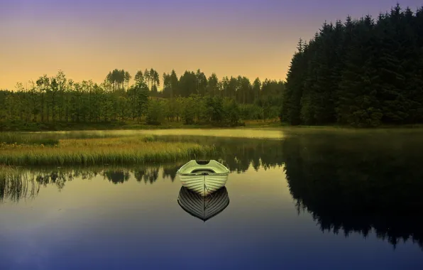 Картинка лес, природа, озеро, лодка, вечер