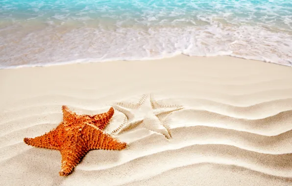 Картинка песок, море, пляж, силуэт, прибой, морская звезда
