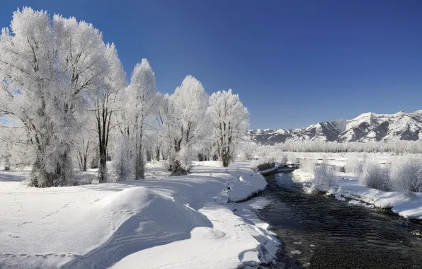 Картинка зима, иней, снег, деревья, река, Природа