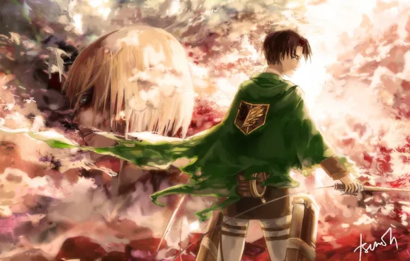 Птицы, кровь, дым, эмблема, плащ, клинки, титан, Shingeki no Kyojin