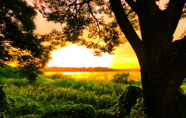 Sky, Sun, Water, Sunrise, Dawn, Morning, Lake, Trees