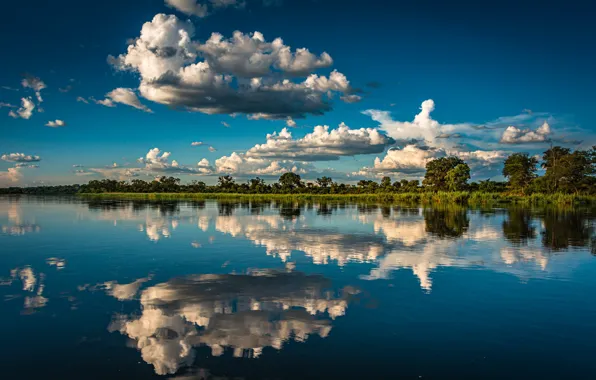 Картинка облака, деревья, отражение, река, Африка, Намибия, Namibia, Река Окаванго