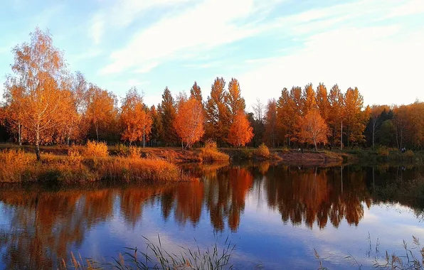 Картинка осень, лес, небо, листья, облака, пейзаж, река, багрянец