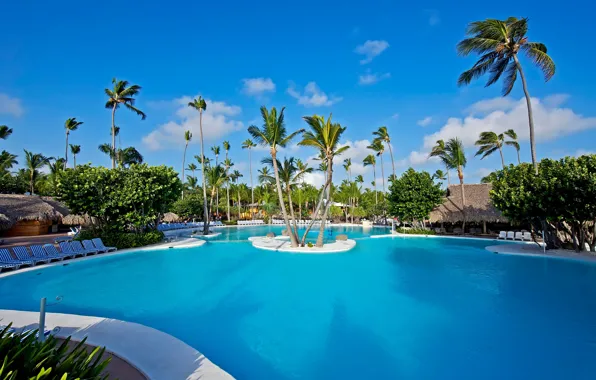 Картинка пальмы, бассейн, pool, бунгало, palms, exterior, лежаки.