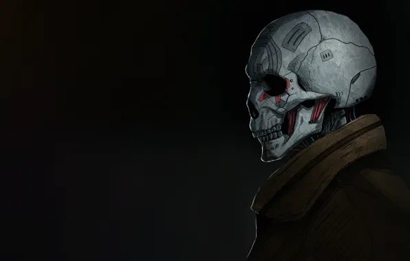 Минимализм, Череп, Арт, Skull, Illustration, Concept Art, Кость, by Kota Kasahara